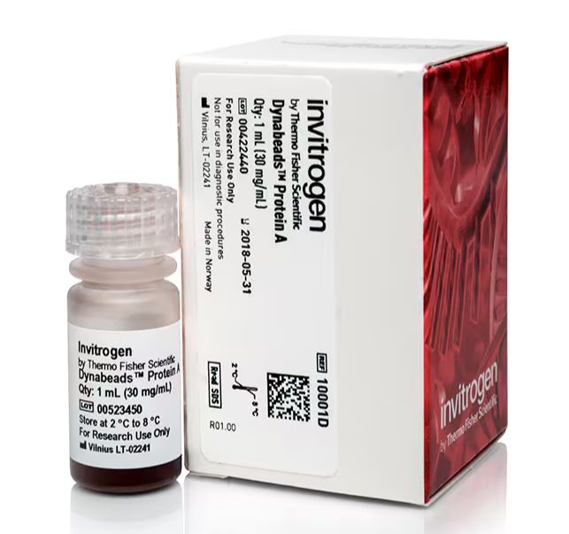 Dynabeads™ Protein A for Immunoprecipitation, 1mL - 10001D