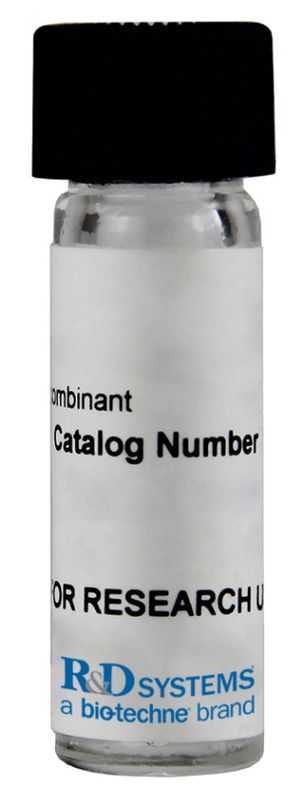 Recombinant Human Cathepsin B Protein, CF	- 953-CY-010 - 10ug