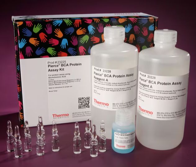 Thermo Scientific™ Pierce™ BCA Protein Assay Kit Ctlg #23225