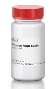 Glycogen from oyster ≥75% dry basis - 5G - G8751-5G