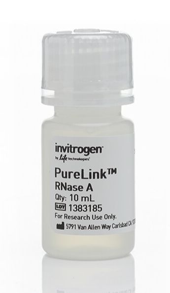 PureLink™ RNase A (20 mg/mL) - 12091021