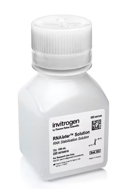 RNAlater RNA Stabilization Solution 100ml