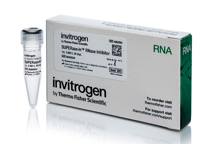 SUPERase•In™ RNase Inhibitor (20 U/μL) -AM2694 - 2,500 units