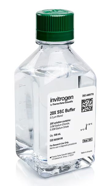 SSC (20X), RNase-free - 500mL - AM9770