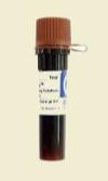 MIDORI Green Direct Nucleic Acid Staining Solution, Bulldog-bio - 1ml - 102407-970(MG06)