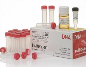Invitrogen™ One Shot™ BL21(DE3)pLysE Chemically Competent E. coli - 21x50uL/tube - C656503