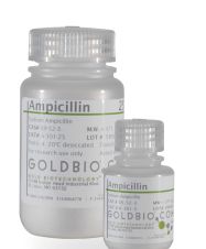 Ampicillin (Sodium) 100 mg/mL Solution - 50mL - A-301-SL50