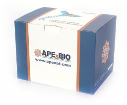 Detergent Compatible Bradford Protein Assay Kit - 800T - K4104