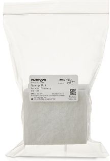 Invitrogen™ Sponge Pad for Blotting - 8 pads - EI9052