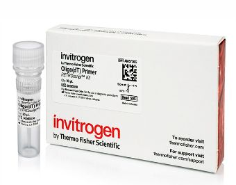Invitrogen™ Oligo (dT) Primer (50 μM) - 80uL - AM5730G