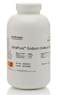 Invitrogen™ UltraPure™ Sodium Dodecyl Sulfate (SDS) Detergent that functions as protein denaturant - 500g - 15525017