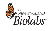 Monarch® RNase A - 1ml - T3018L