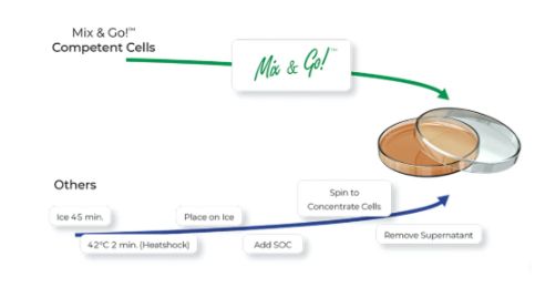 Mix &amp; Go! E.coli Transformation Buffer Set (Zymobroth not included) - 60ml - T3002