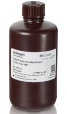 SYPRO™ Ruby Protein Gel Stain (1X), 1 L - S12000