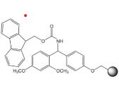 Rink Amide resin (100-200 mesh) - 5g - 8550010005