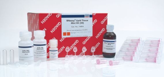 RNeasy Lipid Tissue Mini Kit (50) - 74804
