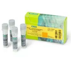 iScript™ Reverse Transcription Supermix, 100 x 20 µl rxns, 400 µl - 1708841