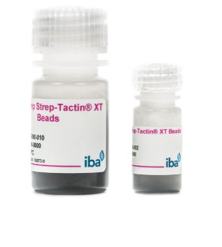 MagStrep® Strep-Tactin®XT beads - 2mL - 2-5090-002