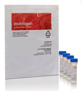 Invitrogen™ PS-Speck™ Microscope Point Source Kit (blue, green, orange &amp; deep-red fluorescent beads) - 1KIT - P7220