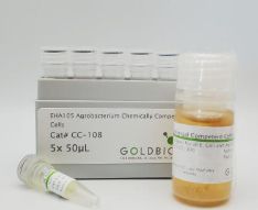EHA105 Agrobacterium Chemically Competent Cells - 5x50uL - CC-108-5x50