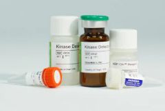 Promega ADP-Glo™ Kinase Assay - PRV6930