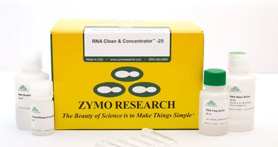 RNA Clean &amp; Concentrator-25, 50ug RNA - R1017
