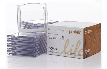 Bolt™ Empty Mini Gel Cassettes
