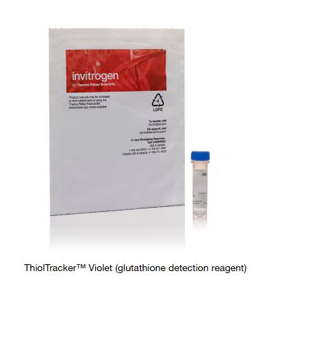 ThiolTracker™ Violet (glutathione detection reagent) - T10095