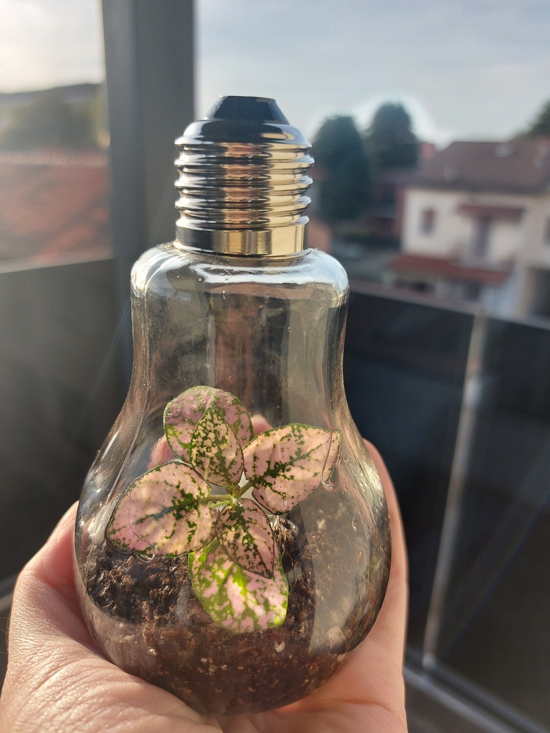 Lampadina