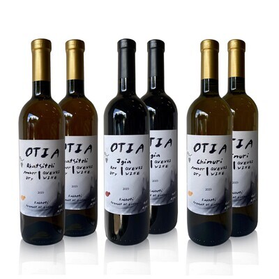 Dry wine tasting package [6x] OTIA wine cellar