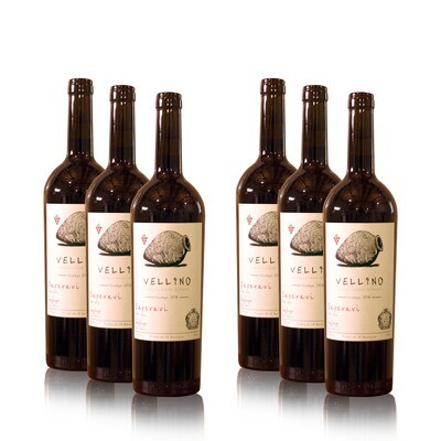 Vellino Saperavi Qvevri, Red-dry wine 2018 [6x]