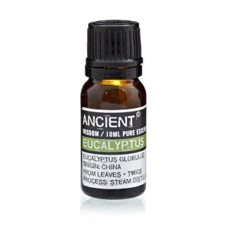 Aromatherapy Essential Oil - Eucalyptus 10ml Bottle