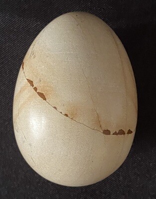 Marble Egg