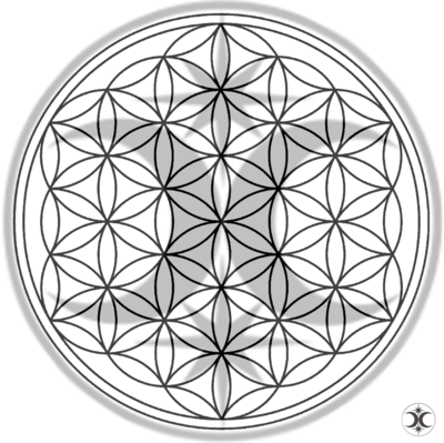 Flower of Life Crystal Grid