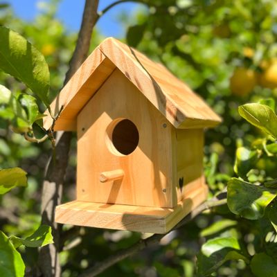 Casa para pájaros
