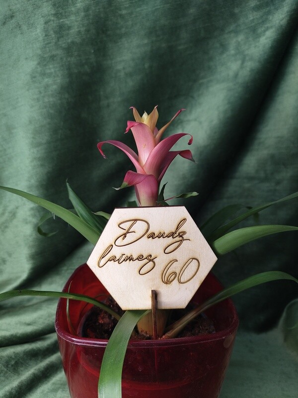Toppers &quot;Daudz laimes 60&quot;