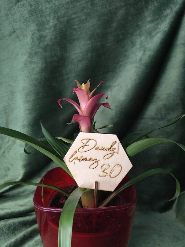 Toppers &quot;Daudz laimes 30&quot;
