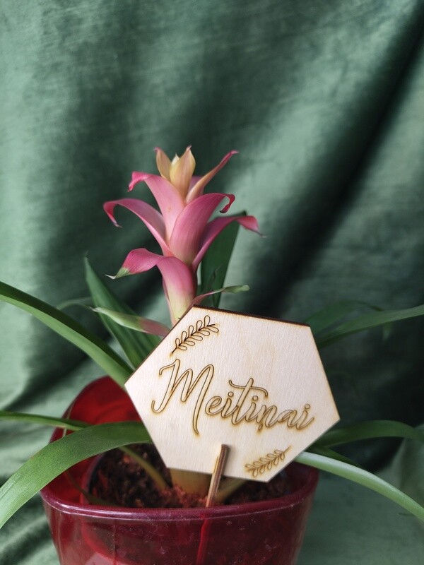 Toppers &quot;Meitiņai&quot;