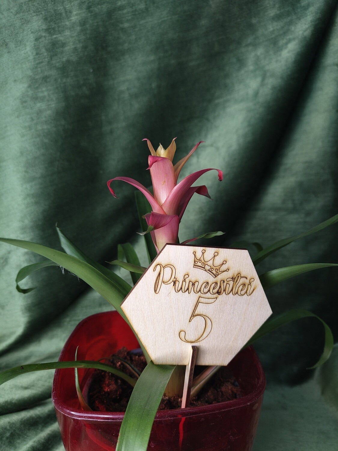 Toppers &quot;Princesītei 5&quot;