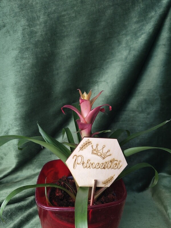 Toppers &quot;Princesītei&quot;