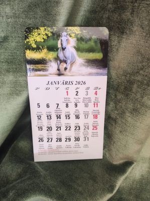 Kalendārs ar magnētu &quot;2026 g. Zirgs #7&quot;