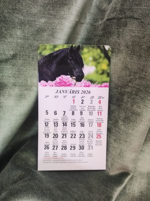 Kalendārs ar magnētu &quot;2026 g. Zirgs#1&quot;
