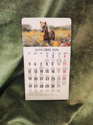 Kalendārs ar magnētu &quot;2026 g. Zirgs #2&quot;