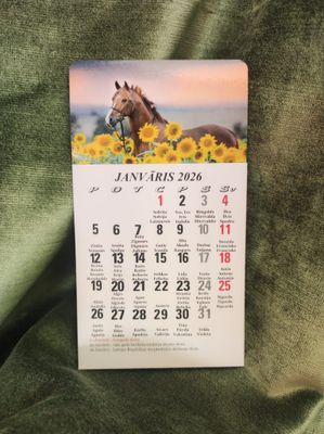Kalendārs ar magnētu &quot;2026 g. Zirgs #4&quot;