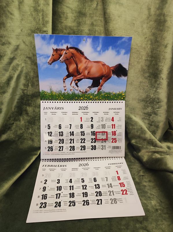 Sienas kalendārs ar 2 spirālēm &quot;2026 g. Zirgs #9&quot;