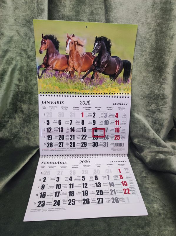 Sienas kalendārs ar 2 spirālēm &quot;2026.g. Zirgs #5&quot;