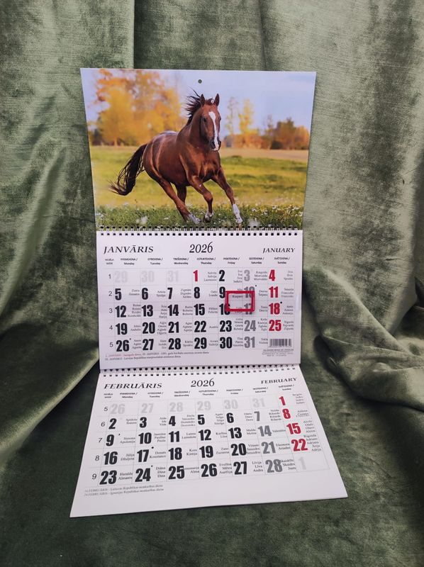 Sienas kalendārs ar 2 spirālēm &quot;2026.g. Zirgs #6&quot;
