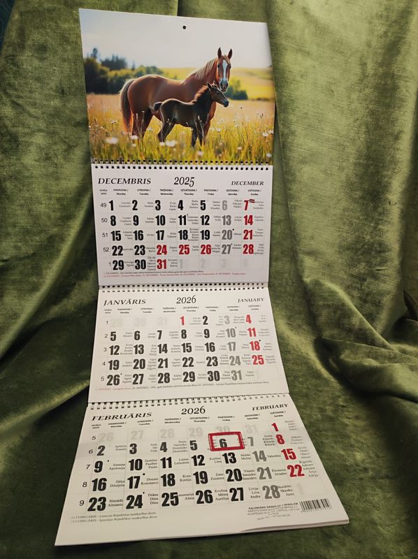 Sienas kalendārs ar 3 spirālēm &quot;2026 g. Zirgs #2&quot;