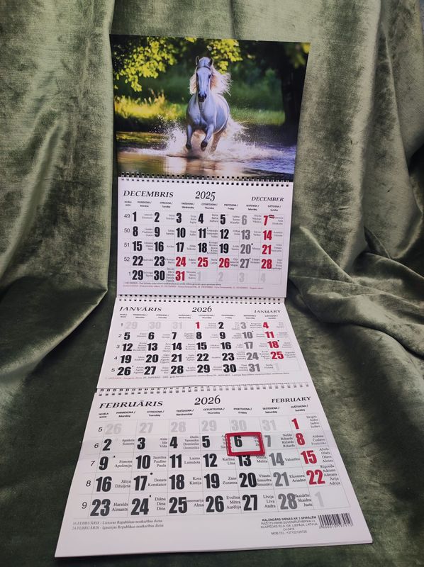 Sienas kalendārs ar 3 spirālēm &quot;2026 g. Zirgs  #6&quot;