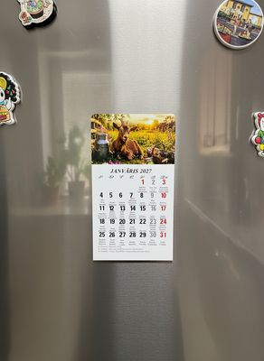 Kalendārs ar magnētu "2027 g. Kaza #3"